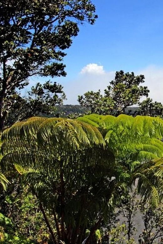 hawaii-hilo-volcano-day-tour-from-oahu-island-and-pick-up-2