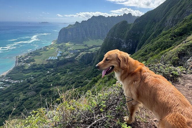 hawaii-oahu-canyon-rappel-hike-expedition-tour