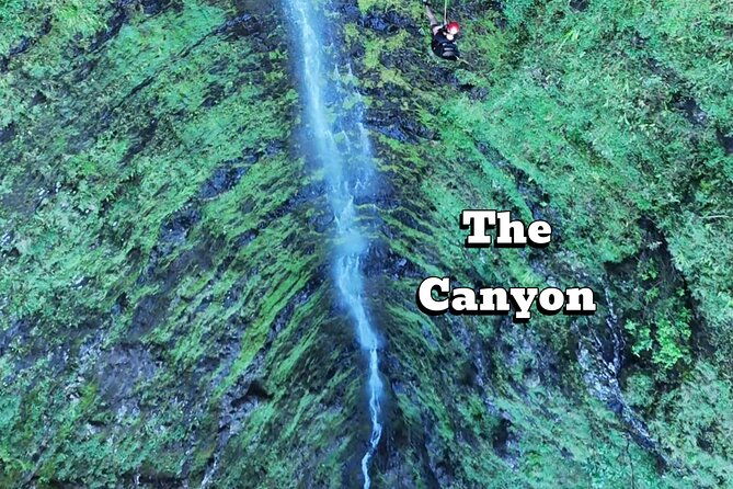 hawaii-oahu-canyon-rappel-hike-expedition-tour