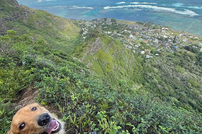 hawaii-oahu-canyon-rappel-hike-expedition-tour