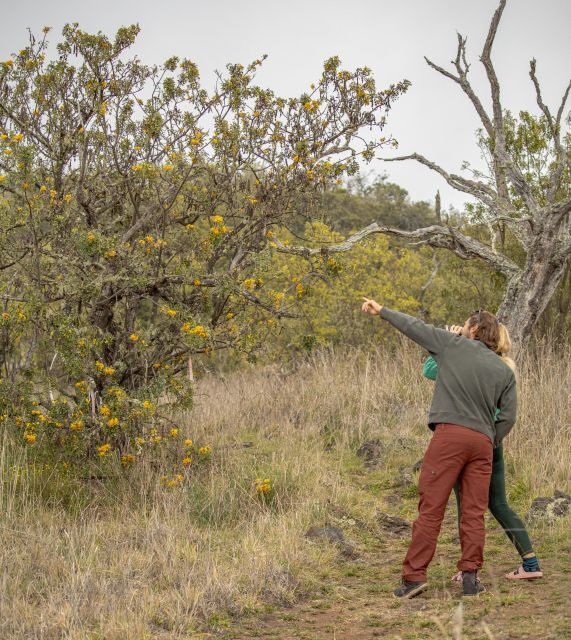 Hawaii: Private All-Inclusive High Country Adventure - Exploring the Mauna Loa and Mauna Kea High Country