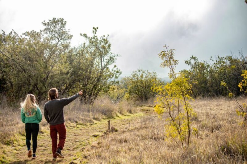 Hawaii: Private All-Inclusive High Country Adventure - Who Will Love This Tour?