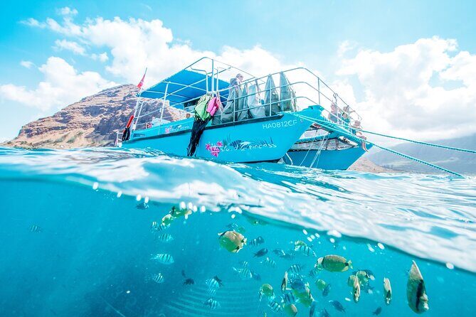 Hawaii Snorkeling with Turtles Boat Tour in Waikiki - Scenic Departure and Tour Start
