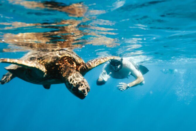 Hawaii Snorkeling with Turtles Boat Tour in Waikiki - Practical Details and Value