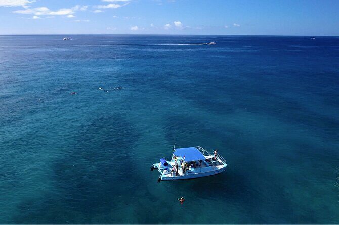Hawaii Snorkeling with Turtles Boat Tour in Waikiki - What Reviews Say