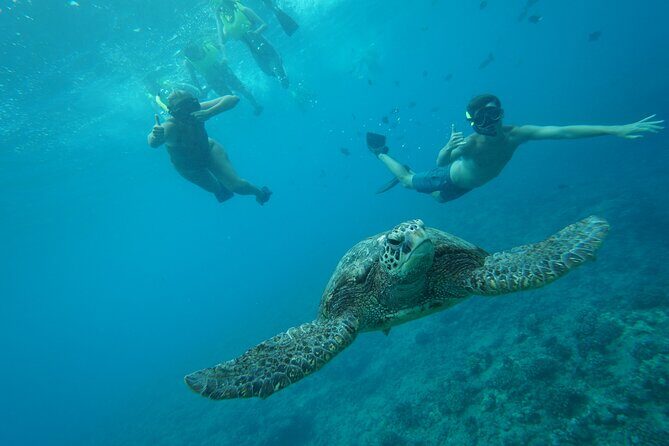 Hawaii Snorkeling with Turtles Boat Tour in Waikiki - Final Thoughts