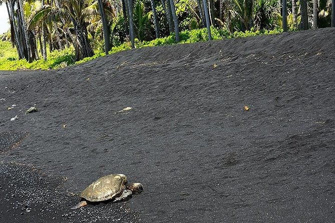 hawaii-volcanoes-national-park-experience-from-kona-big-island-2