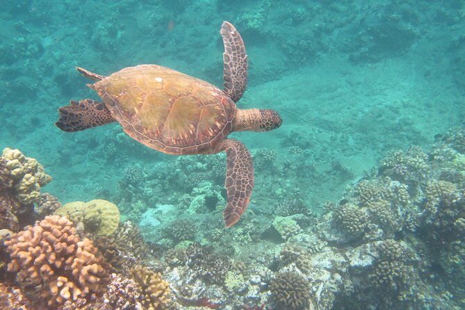 hawaiian-canoe-sailing-experience-in-maui