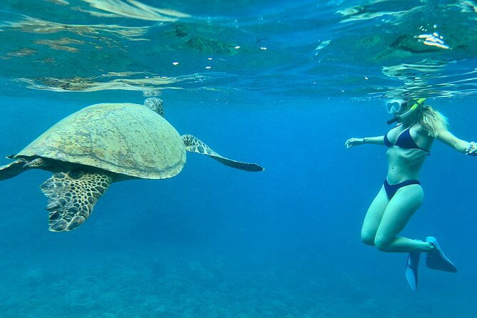 hawaiian-culture-snorkel-adventure-with-photo-videos