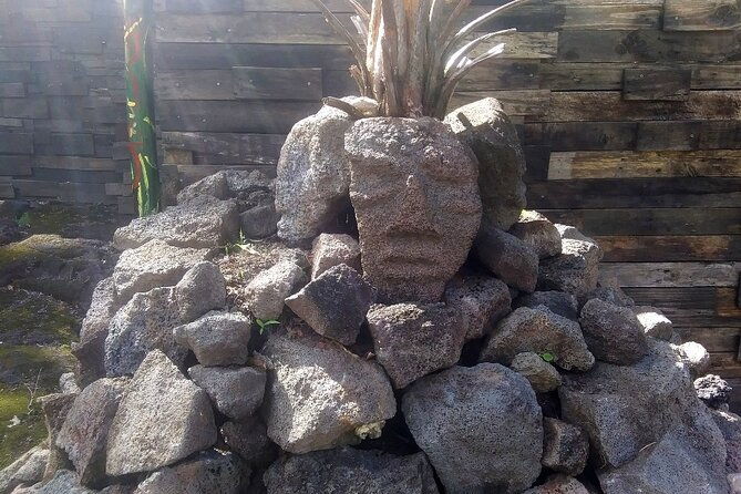 hawaiian-ohia-tea-and-tikis