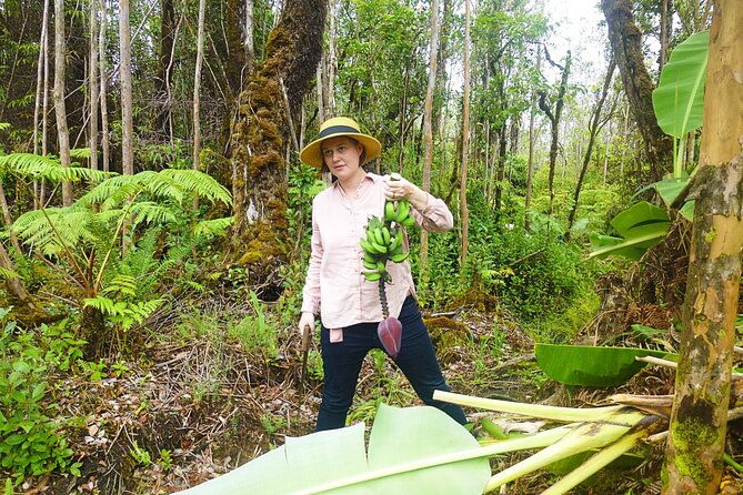 hawaiian-rainforest-banana-cultivation-experience