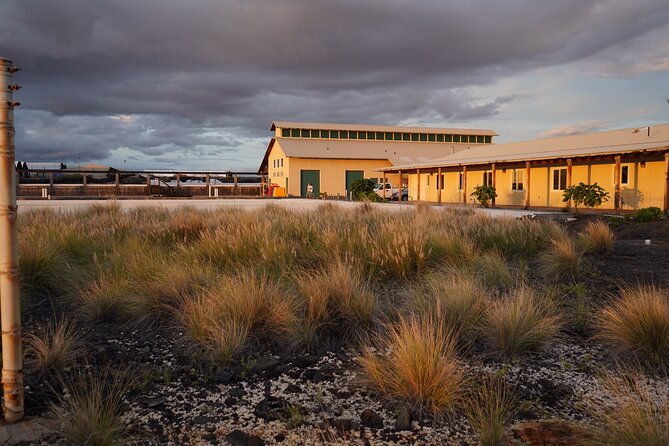 hawaiian-salt-farm-tour-in-kona