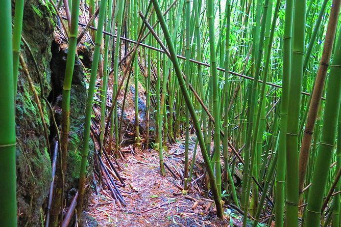 hawaiian-waterfall-hike