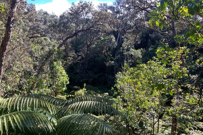 Hawai'i's Volcanoes National Park from Hilo Only - The Sum Up: Is This Tour Worth It?