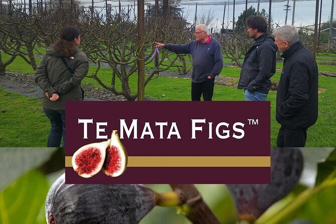 Hawke Bay Local Producers Tour Tastings and Lunch Included - What Makes This Tour Stand Out?