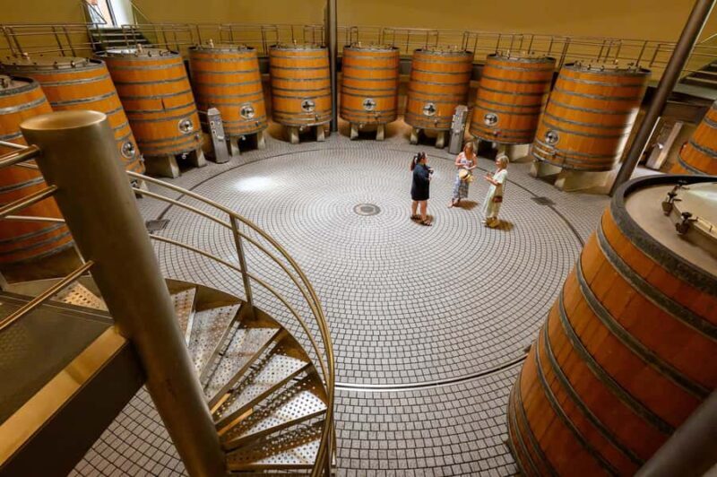 Hawkes Bay: Half-Day Wine Tour with Tastings and Cheeseboard - Price & Overall Value