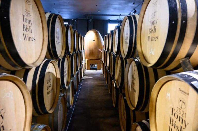 Hawkes Bay: Half-Day Wine Tour with Tastings and Cheeseboard - FAQs