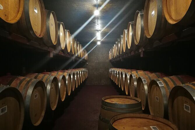 Hawkes Bay Wine Tour: Explore NZ's Great Wine Capital - Exploring the Tour: A Detail-Oriented Breakdown