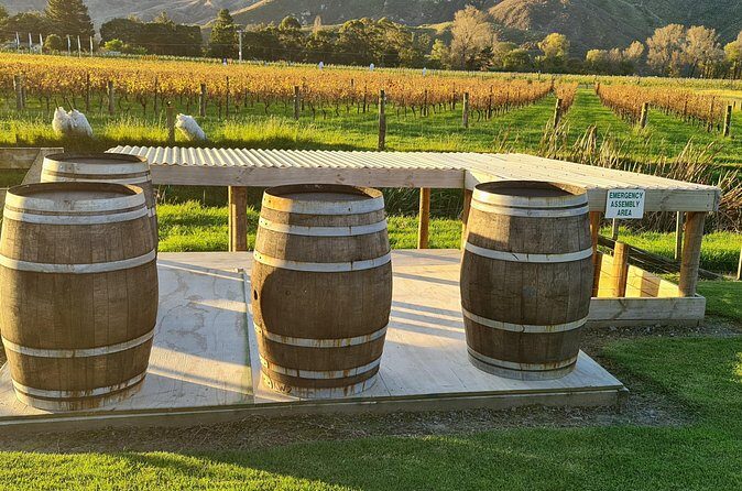 Hawkes Bay Wine Tour: Explore NZ's Great Wine Capital - Final Thoughts: Is This Tour for You?