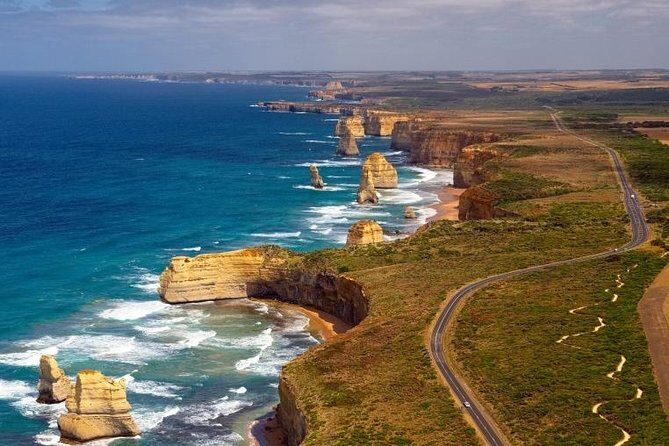 Hawkes Bay Wineries Self-Guided Electric Bike Tour - The Experience in Detail: What You Can Expect