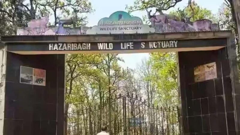 Hazaribagh Same-Day Tour: Nature, Culture & Scenic Views - Canary Hill: Views That Take Your Breath Away