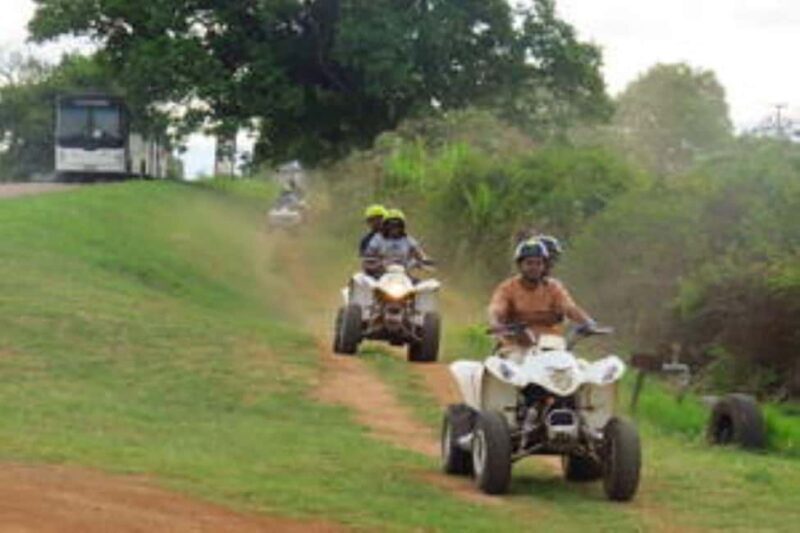 Hazyview: Guided Macadamia Plantation and Forest Quad Safari - Hazyview: Guided Macadamia Plantation and Forest Quad Safari – A Balanced Adventure