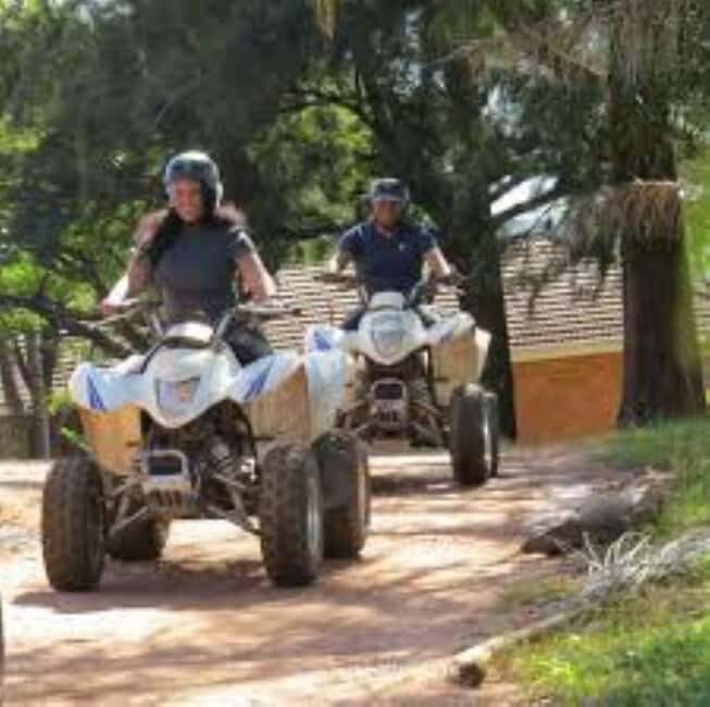 Hazyview: Guided Macadamia Plantation and Forest Quad Safari - Key Points