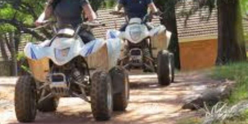 Hazyview: Guided Macadamia Plantation and Forest Quad Safari - Who Will Enjoy This Tour?