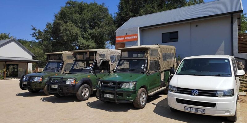 Hazyview: Kruger National Park Full-Day Safari - Insights from Reviews: What Travelers Loved and What Could Be Better