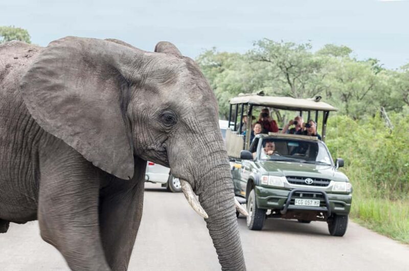 Hazyview: Kruger Park Safari & Panorama Route 2-Day Tour - Overview of the Tour Experience  