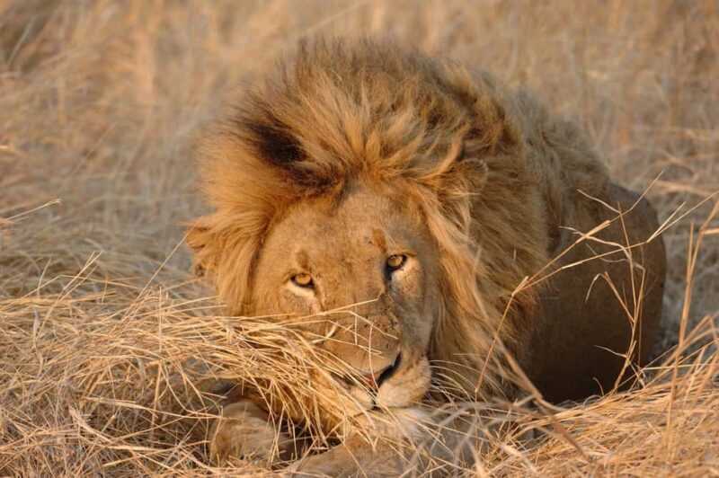 Hazyview: Kruger Park Safari & Panorama Route 2-Day Tour - Day 2: The Panoramic Spectacle  