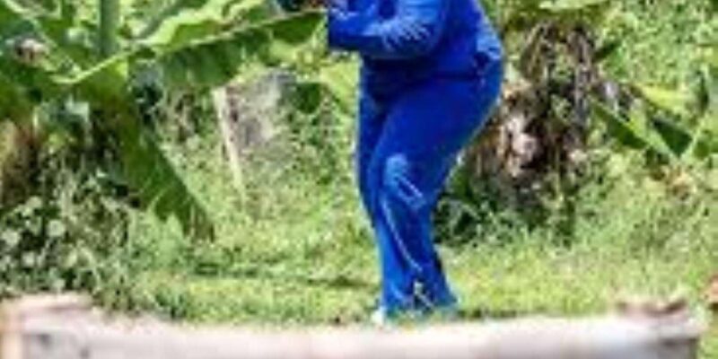 Hazyview : Paintball Target Shooting - FAQ
