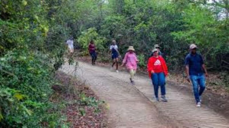Hazyview : Sabie River Hiking Trail 12km - What You Can Expect from the Sabie River Hiking Trail