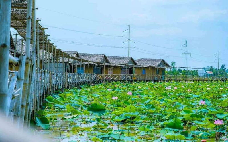hcm-authentic-dong-thap-mekong-delta-day-trip-boat-ride