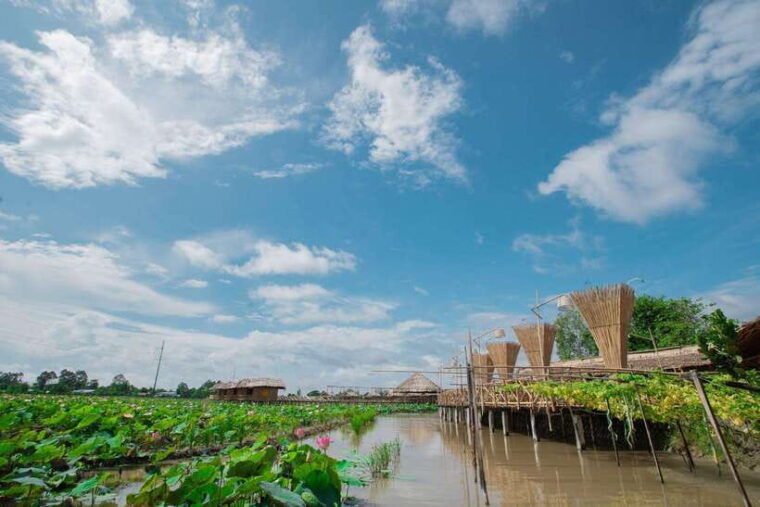 hcm-authentic-dong-thap-mekong-delta-day-trip-boat-ride