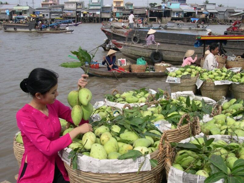hcmc-cai-rang-floating-market-mekong-delta-private-tour