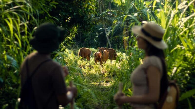 Heal & Reflect  Soul Journey from Ubud to Sacred Lake Batur - A Gentle, Soulful Escape: What to Expect from the Tour