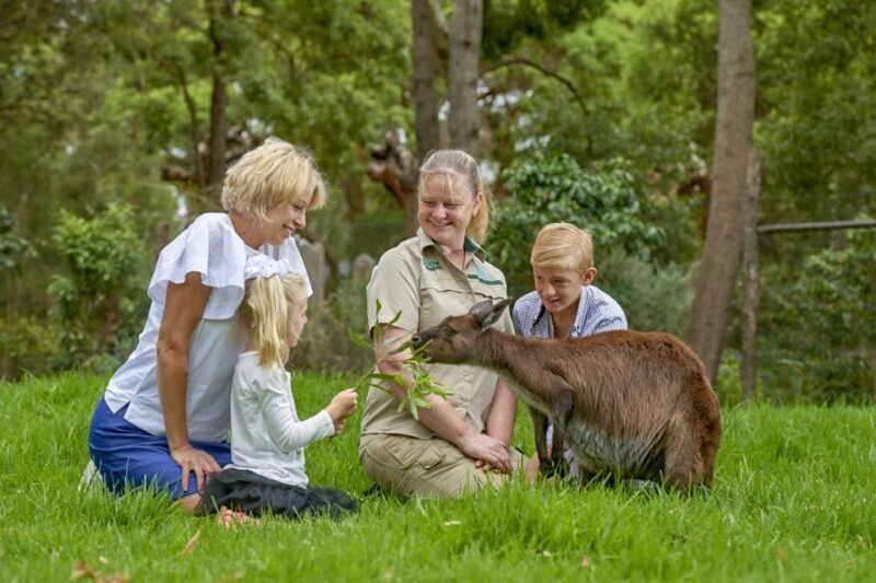 Healesville Sanctuary: General Admission Ticket - Key Points