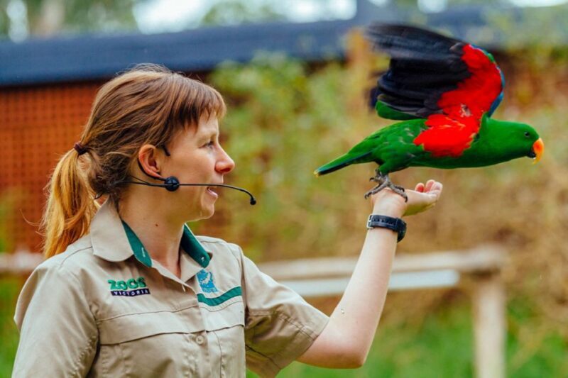 Healesville Sanctuary: General Admission Ticket - FAQs