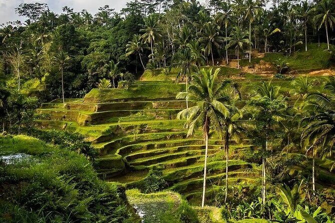 Healing and Adventure Trip in Ubud All Inclusive Journey - The Sum Up: Why This Tour Stands Out