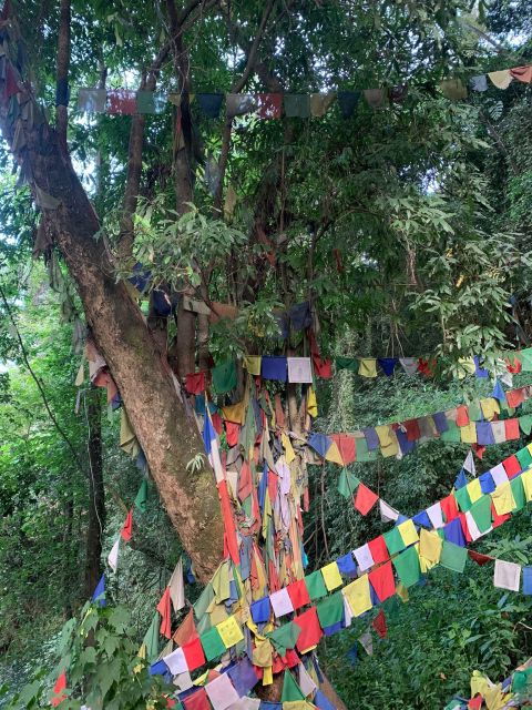 healing-day-tour-shaman-healing