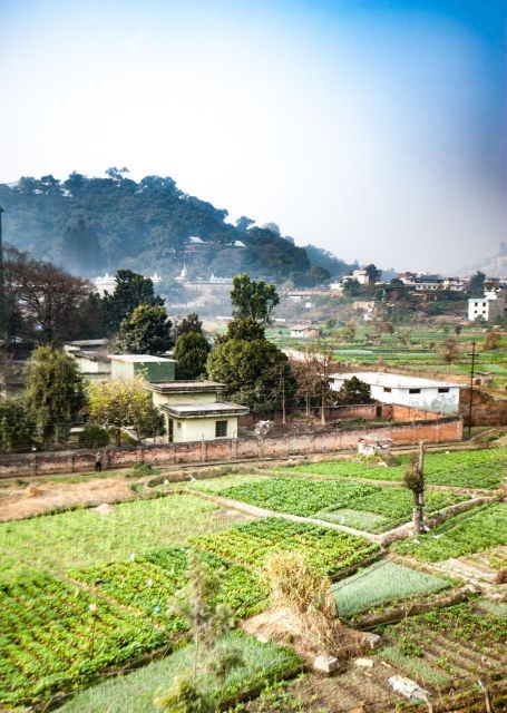 healing-day-tour-shaman-healing