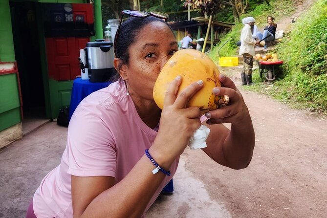 healing-guided-nature-experience-and-waterfall-brunch-in-jamaica