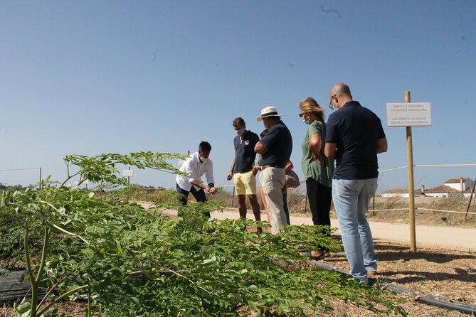 healthy-eco-finca-and-pine-forest-experience