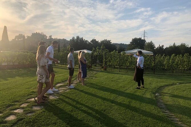 heart-of-chianti-classico-2-wineries-lunch-included-chianti-wine-tour