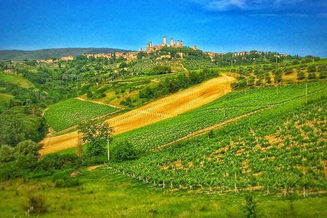 Heart of Umbria: explore the mystic towns of Orvieto and Assisi - Who Would Love This Tour?