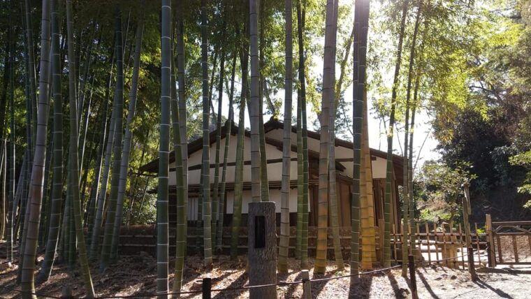 heart-of-yokohama-walking-experience-hill-area