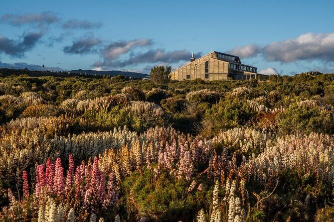 Heartlands Odyssey Comfort Tour 4 Days - Who Is This Tour Best Suited For?