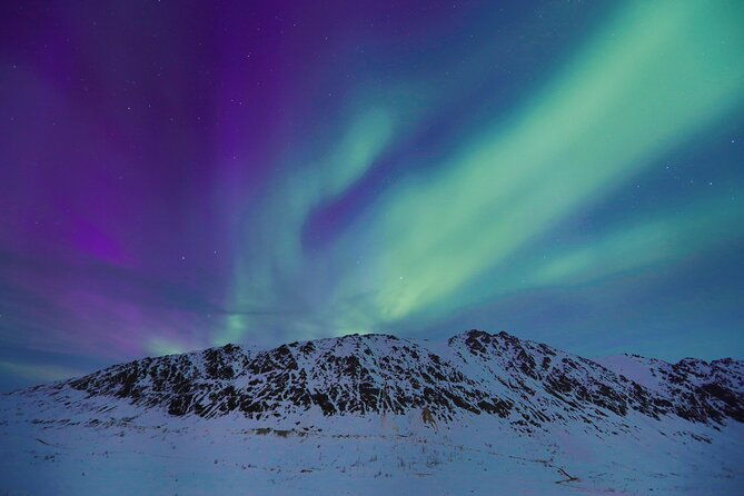 heated-and-enclosed-atv-tour-in-alaska-open-all-year-round