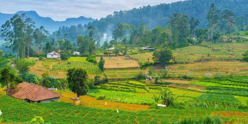 heeloya-village-all-inclusive-trekking-with-lunch